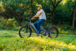 DENAGO TRIKE 1 EBIKE - 