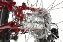 ICE Adventure RS HD Trike Rear Hub