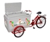 Ice Cream Tricycle Electric Freezer