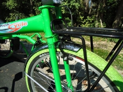 Ricksycle Recumbent Special NeedsTrike