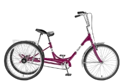 Sun Traditional Trike 24" Purple