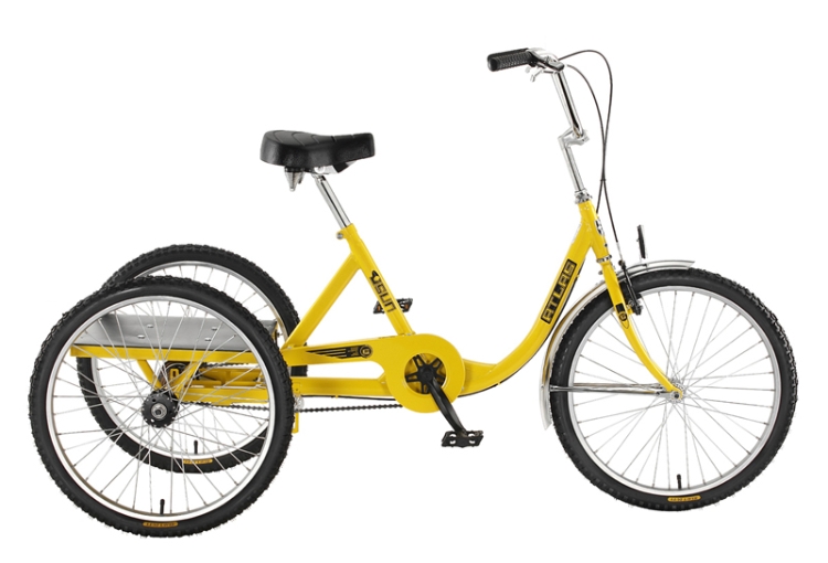 Sun Atlas Cargo 24 With Rear Placform and 500 Lbs Capacity