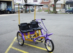 Worksman Team Dual Trike