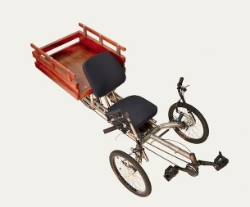 Ti-Trikes T-350