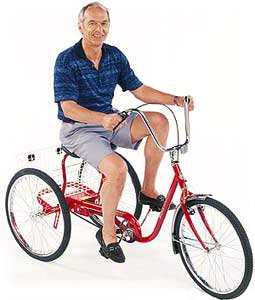 Trailmate Desoto Classic Adult Rectrational Trike