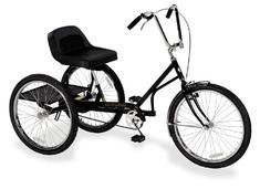 Trailmate EZ Roll Regal Hauler