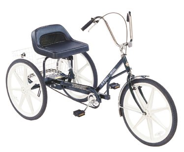 Trailmate EZ Roll Regal Trike