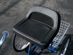Trailmate EZ Roll Regal Trike
