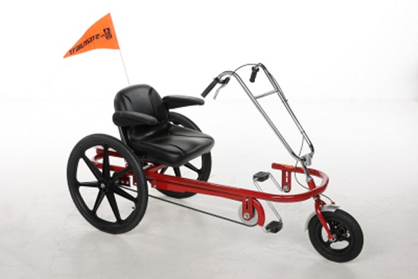 Trailmate Joyrider High Back Special Needs Trike