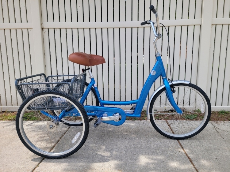 Trek Pure Recreational Trike