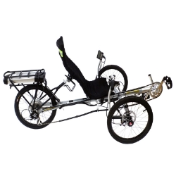 Trident Spike Trike Electric