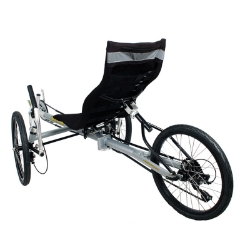 Trident Spike Trike Rear