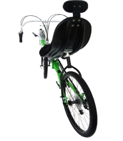 Trident T.W.I.G Recumbent Bike Rear