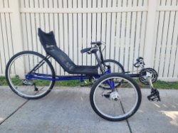 True Bicycle Prototype OI812
