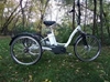 True Bicycles Fredom Electric Trike