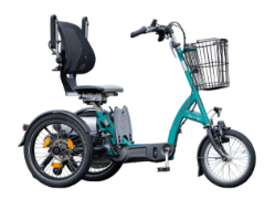 Van Raam Scooter Trike