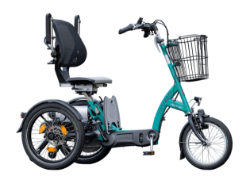 Van Raam Scooter Trike
