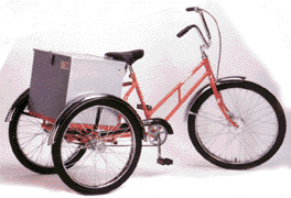 Worksman Adaptable With Cabnet