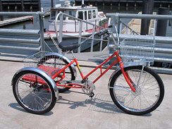 Worksman Adaptable with Basket