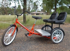 Worksman Family Dual Chariot