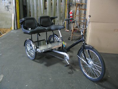 Worksman Family Dual Chariot