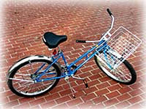 Worksman ING Girls Industrial Bicycle