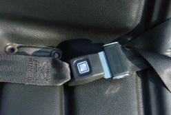 Worksman Seat Belt