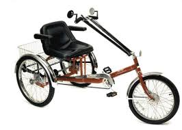 Worksman Pav-3 Trkes