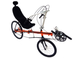 Trident T.W.I.G Recumbent Bike