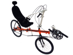 Trident T.W.I.G Recumbent Bike