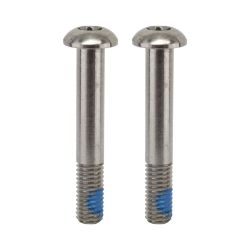 BRAKE PART SRAM DISC ADPTR SCREWS ONLY 32mm T25 SS PAIR f/FLAT MOUNT CALIPER 