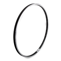 RIM ALEX 700C 622x19.6 Z1000 36 BK/MSW 