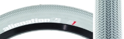TIRE AN TCS R1 20x1.6 FOLD GY/GY 
