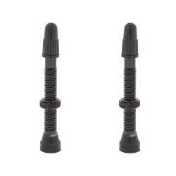 VALVE TUBELESS WTB PV 46mm ALY BK TCS 