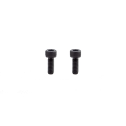 FW SUN TRIKE REP ADAPTER SET SCREW BGof2 