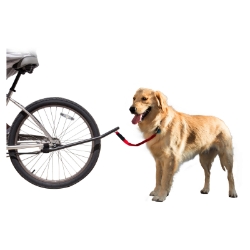 DOG LEASH SUNLT 